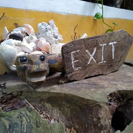 ホテル Casitas Kinsol プエルト・モレロス エクステリア 写真