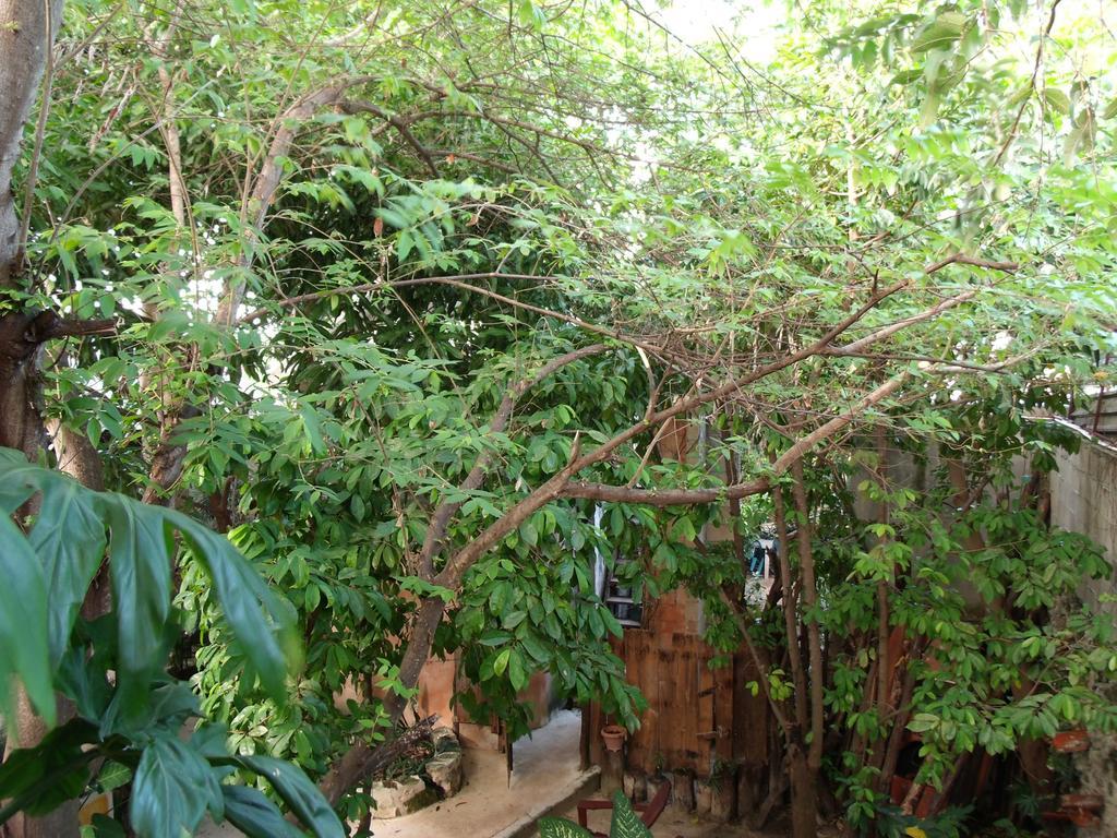 ホテル Casitas Kinsol プエルト・モレロス エクステリア 写真