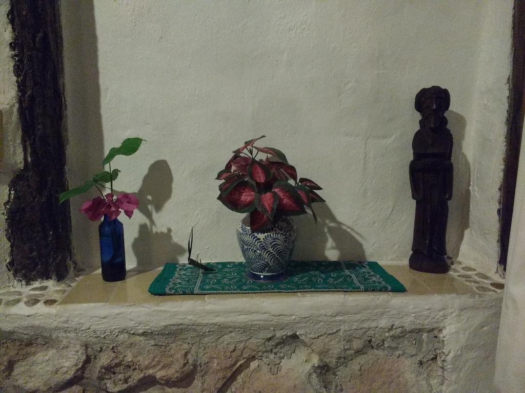 ホテル Casitas Kinsol プエルト・モレロス エクステリア 写真