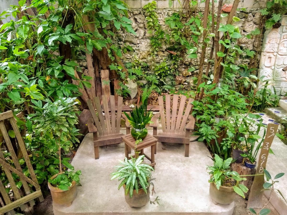 ホテル Casitas Kinsol プエルト・モレロス エクステリア 写真