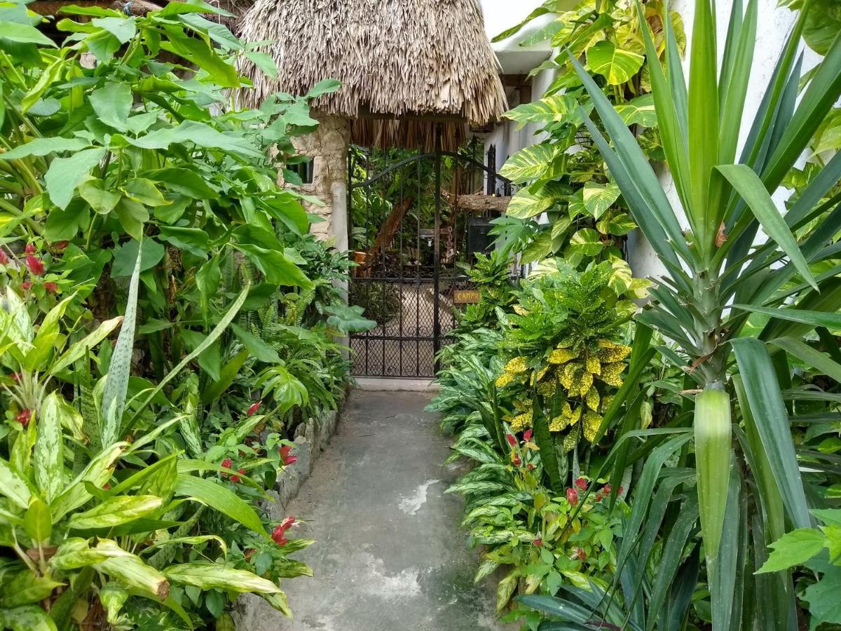 ホテル Casitas Kinsol プエルト・モレロス エクステリア 写真