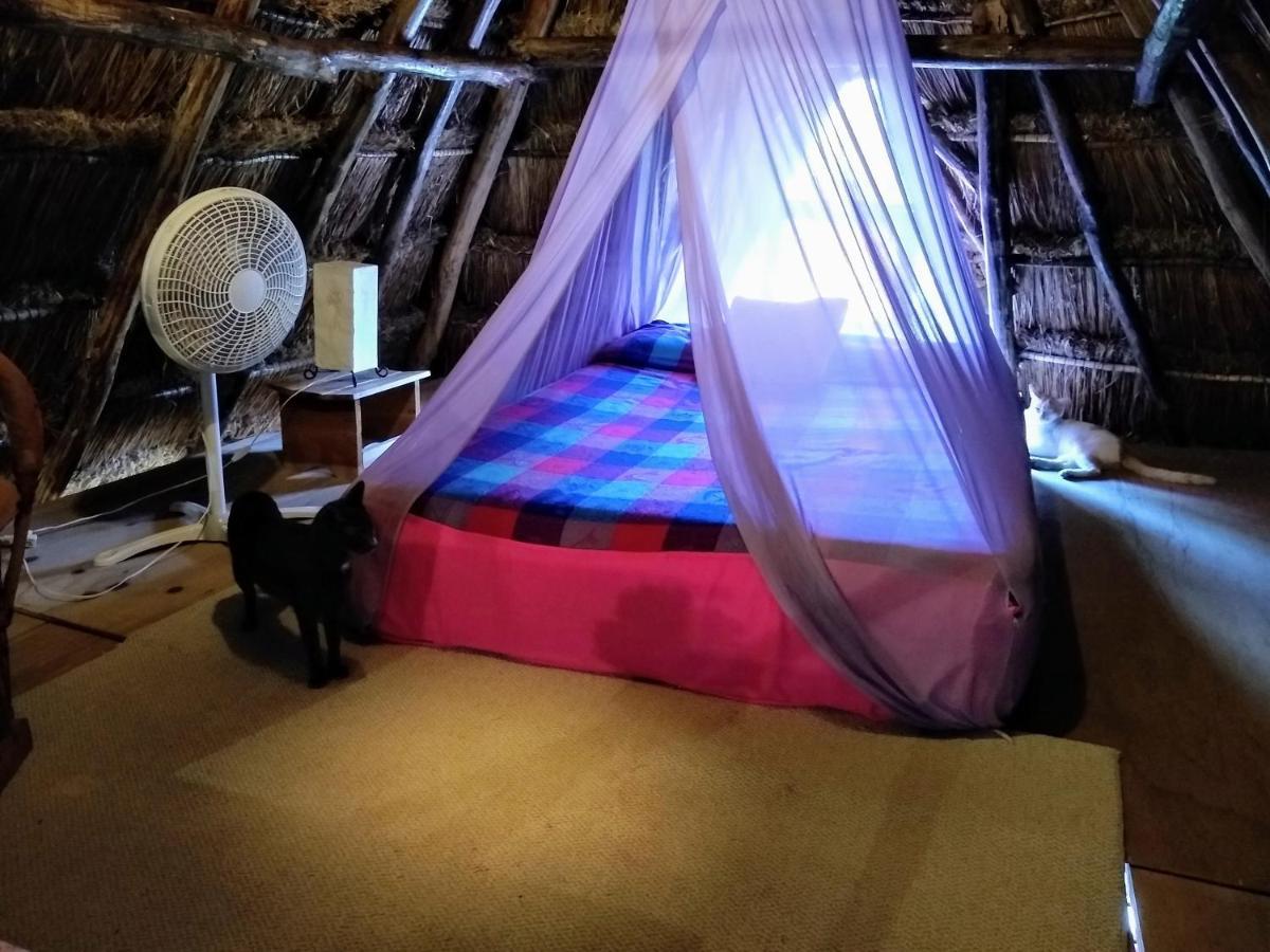 ホテル Casitas Kinsol プエルト・モレロス エクステリア 写真