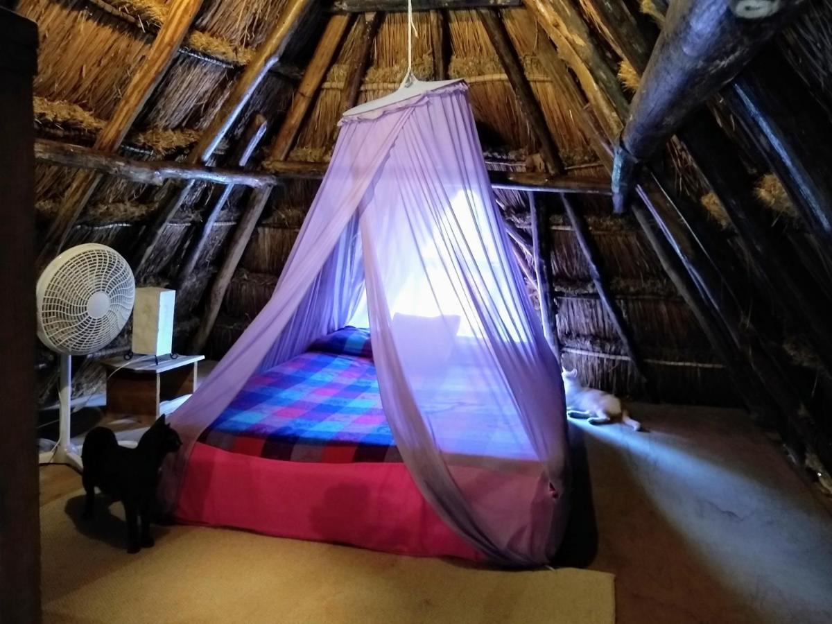 ホテル Casitas Kinsol プエルト・モレロス エクステリア 写真