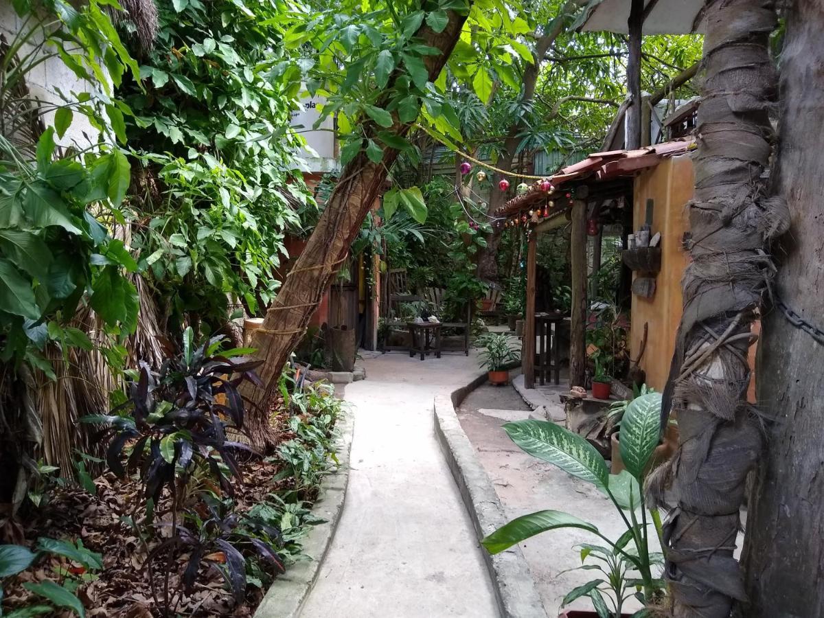 ホテル Casitas Kinsol プエルト・モレロス エクステリア 写真