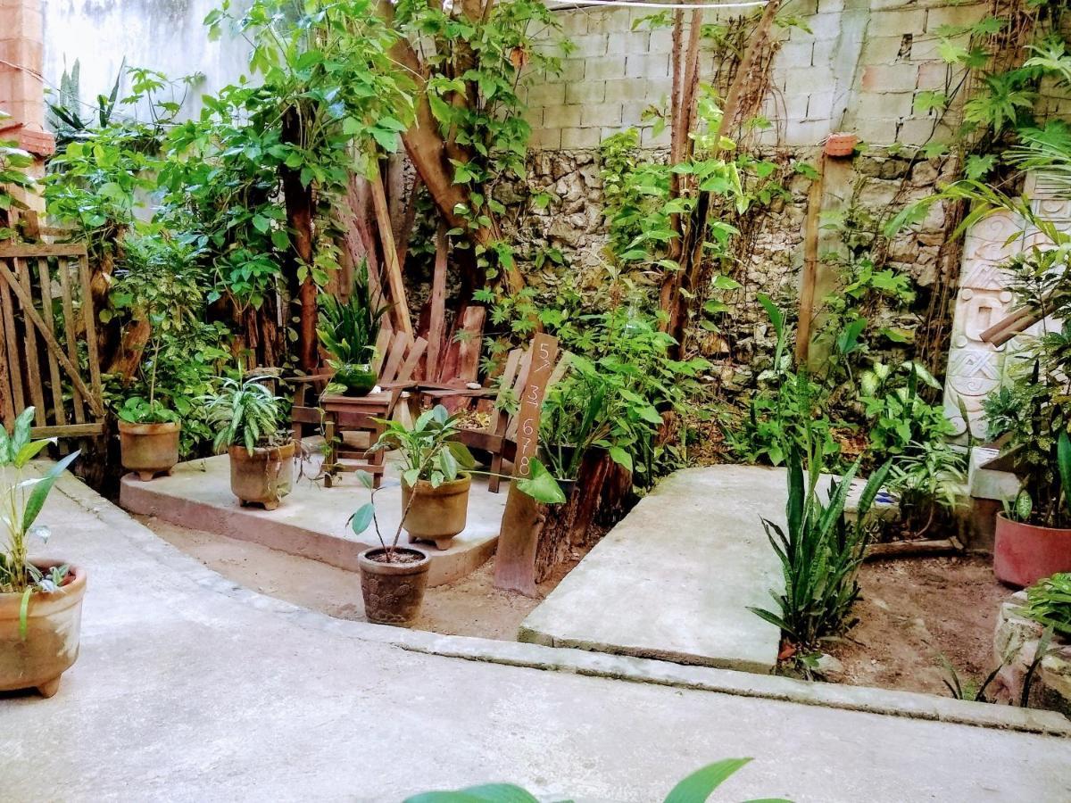 ホテル Casitas Kinsol プエルト・モレロス エクステリア 写真